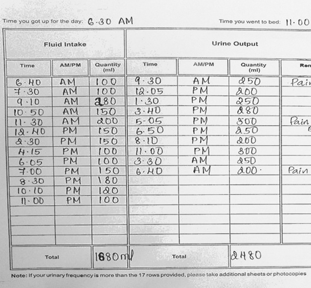 Bladder diary form to analyze 